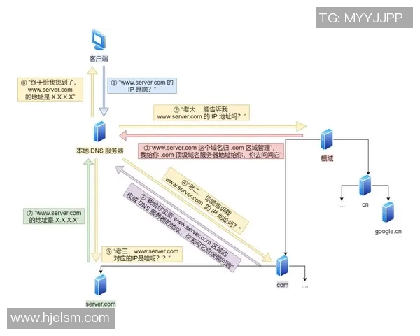 数据模型解析:灰熊队胜率预测与未来走势分析